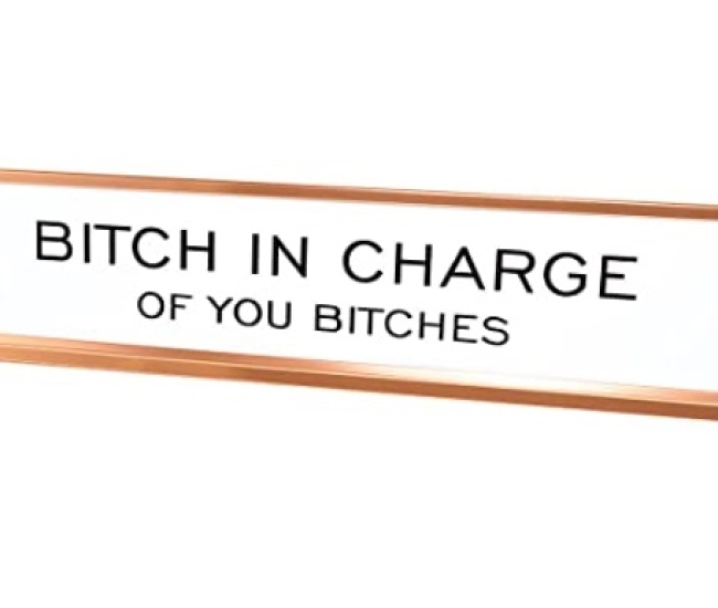 Bitch in Charge of You Bitches Novelty Nameplate Desk Sign